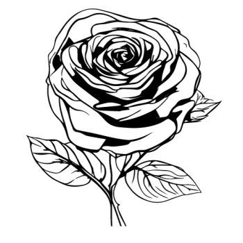 moc dekoracji wnętrz z naszymi naklejkami! z kwiatem rózy