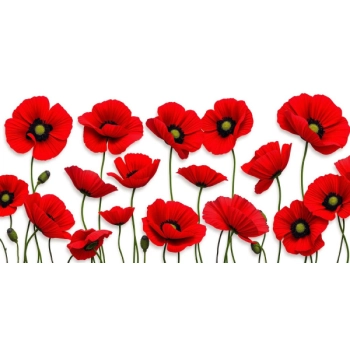 Wnętrza z oknem ozdobionym naklejką przedstawiającą czerwone maki