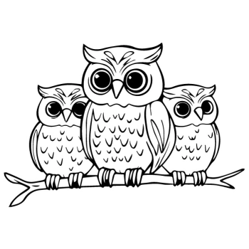 Naklejka z trzema sowami to perfekcyjna dekoracja