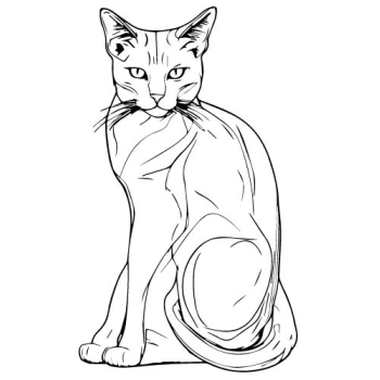 naklejka na ścianę grafika z kotem do pokoju