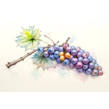 Naklejki na okna to efektywny sposób na ozdabianie.