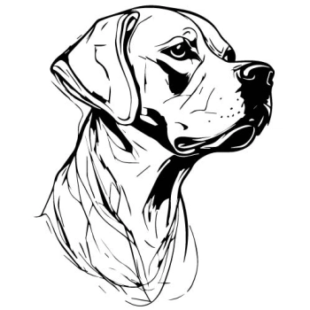 Wzbogać swoje wnętrze o naklejki z grafiką psa!