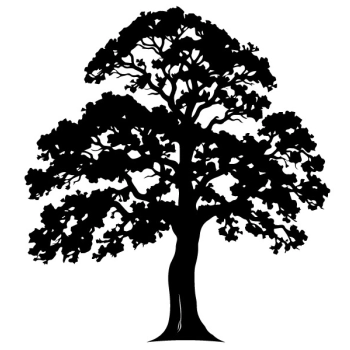 Modna naklejka w formie drzewa na ścianę