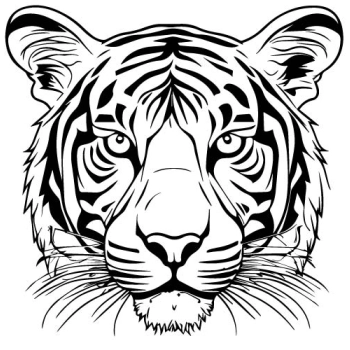 Grafika tygrysa w formie naklejki na ścianę