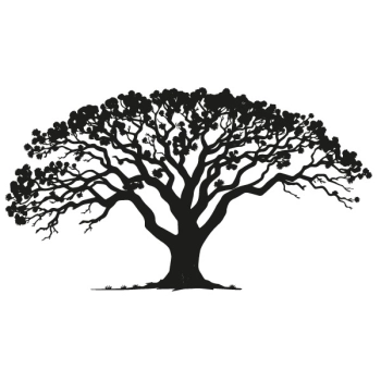 . Naklejka drzewo dębu to idealny sposób na szybką metamorfozę wnętrza.