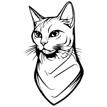 Ścienna naklejka z grafiką kota